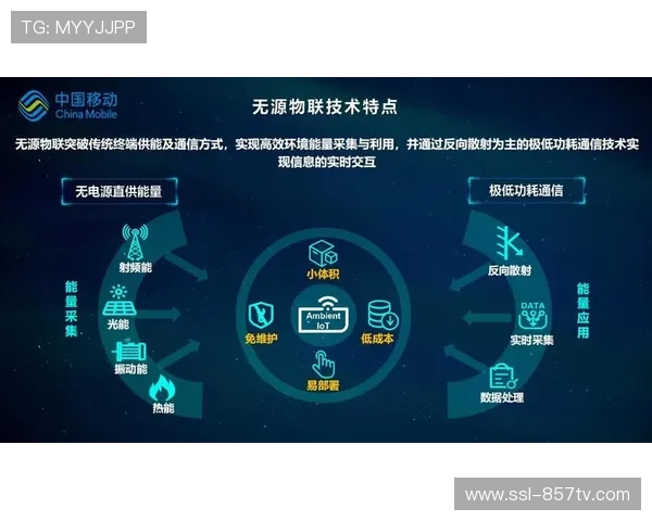 无源物联技术实现设备自动识别，物资调度速度提升30%
